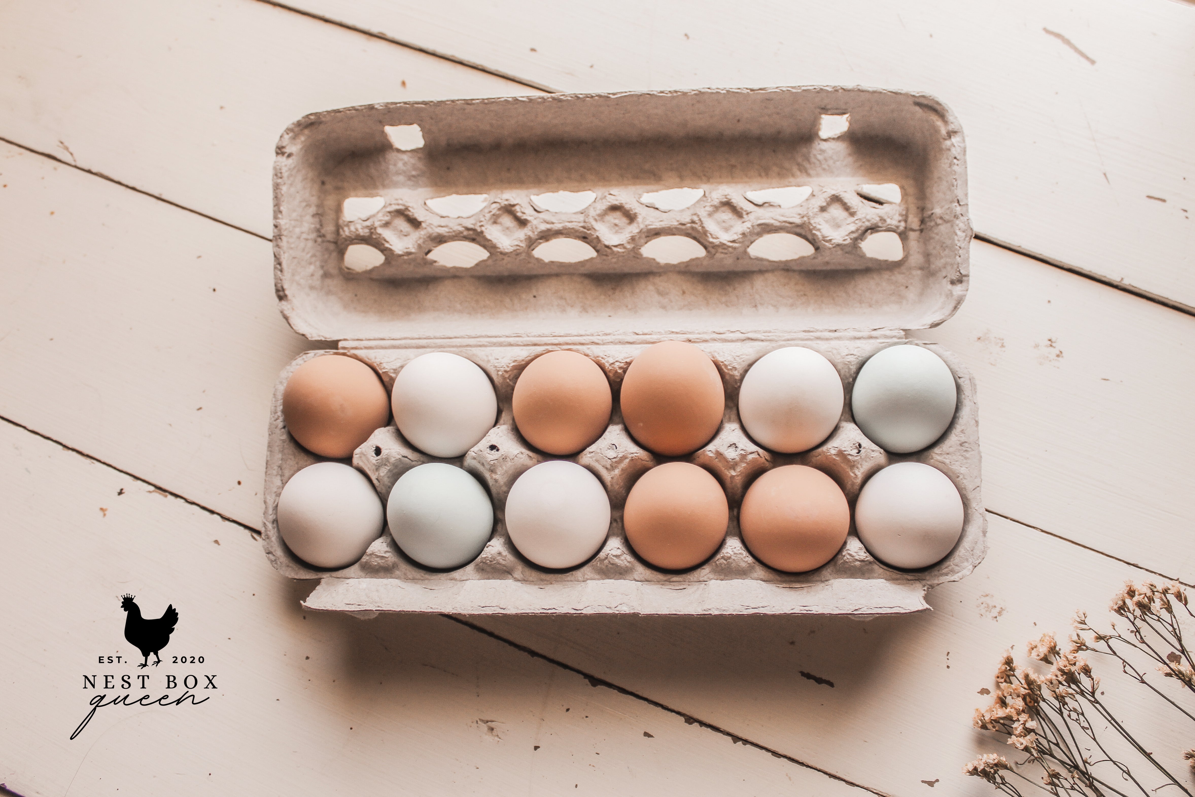 Vent Top Paper Pulp Egg Cartons – Nest Box Queen